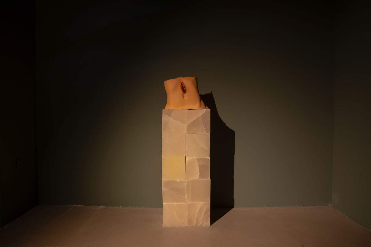 <em>ANA</em> (2025), exposition personnelle, Ka, Ankara, Turquie, 2025, Crédit Photo: Ibrahim Karakutuk