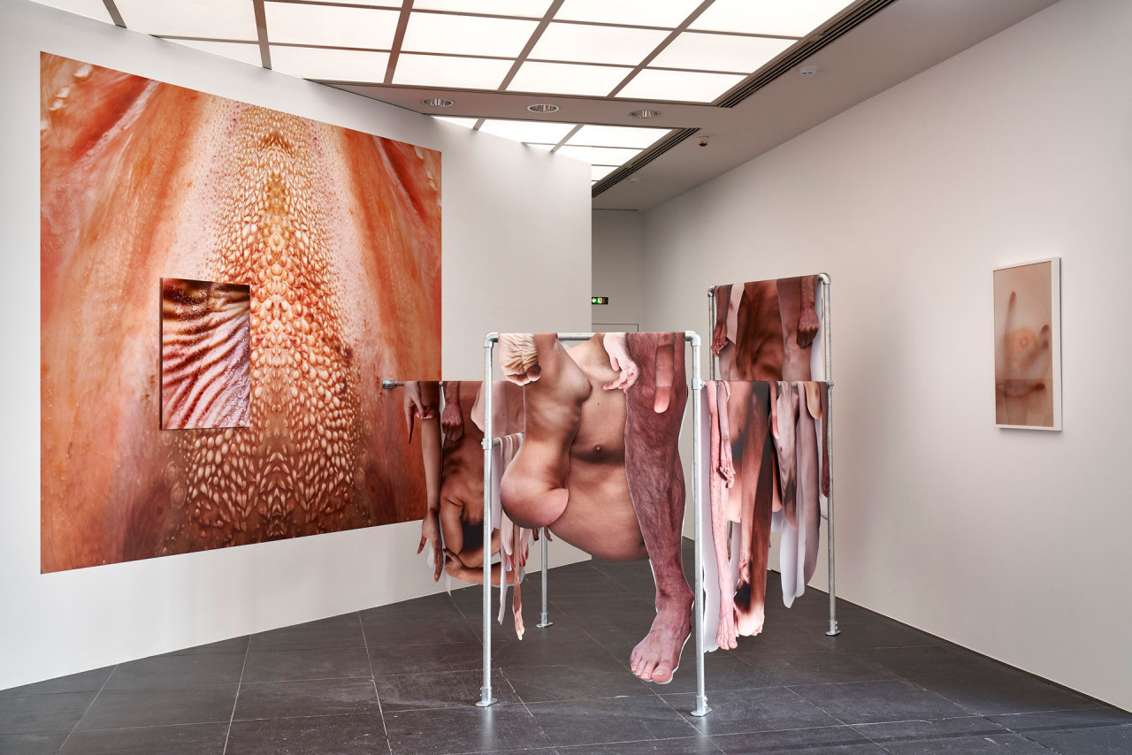 Travaux (2014 -2018)