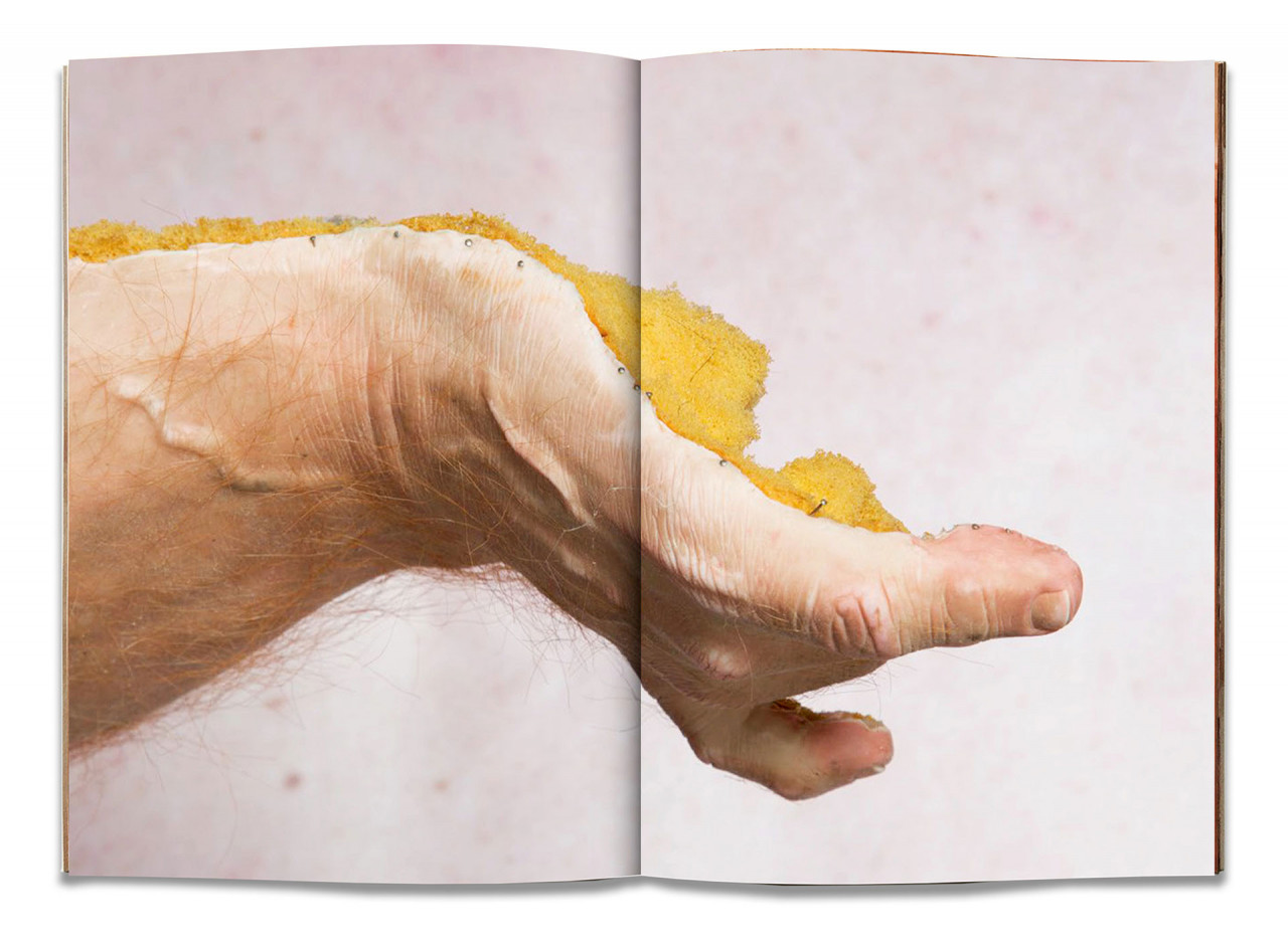 <em>Bleu</em>, livre de 44 pages 22.5 X 32 cm, publié par Morel Books, 2017.