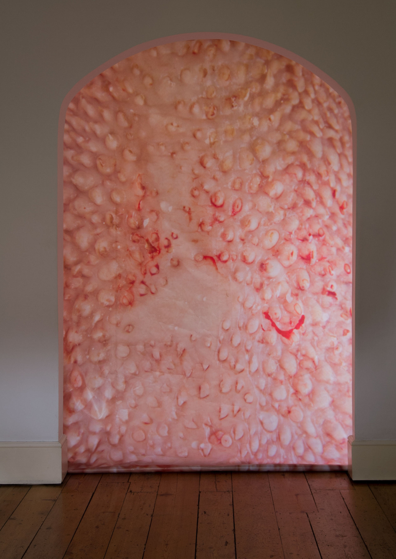 <em>Slip-Slit</em> (2016), dans Ichor, Danielle Arnaud, Londres, Royaume-Uni, 2016, Crédit Photo: Alix Marie