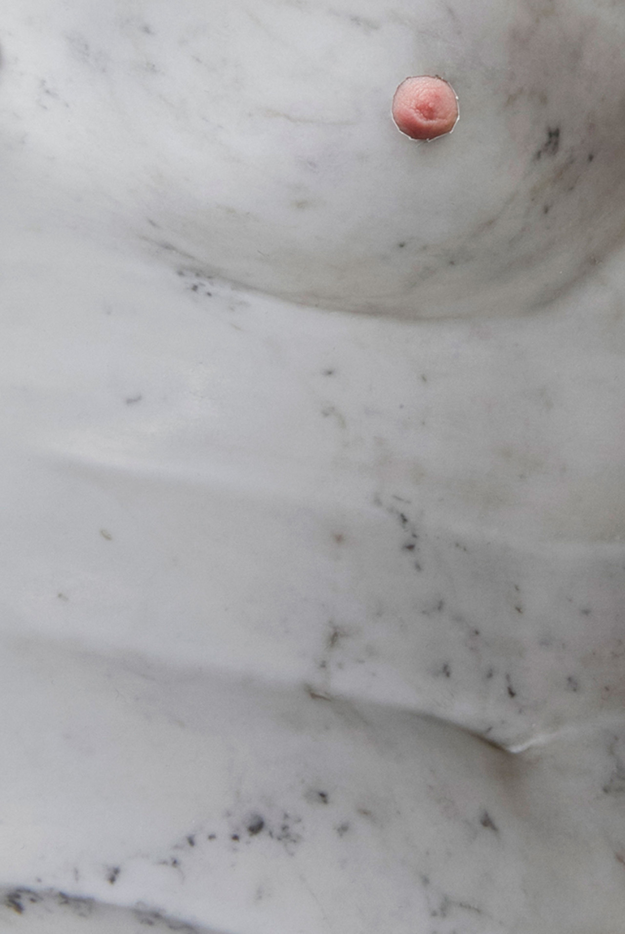 <em>Venus</em> (2015) Crédit Photo: Alix Marie