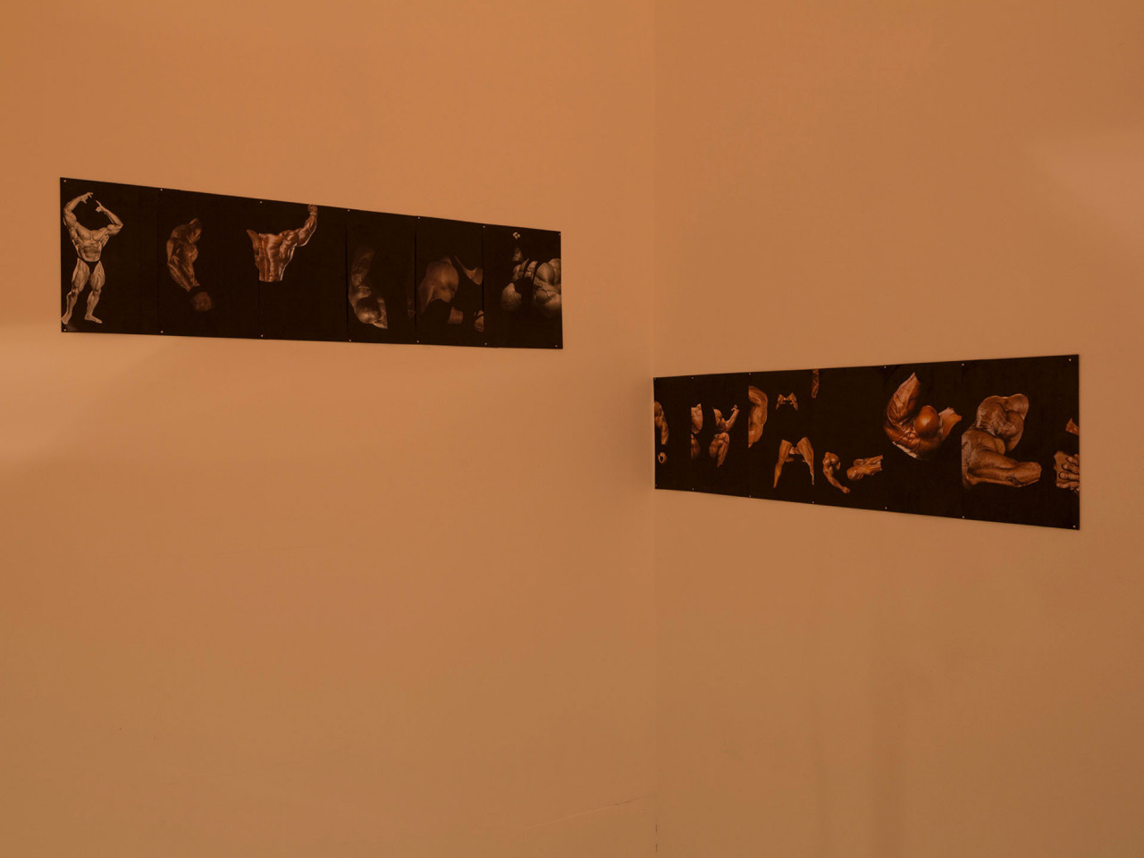 <em>Olympians (</em>2019) dans <em>Shredded</em> (2019), exposition personnelle, Roman Road, Londres, Royaume-Uni, 2019, Crédit Photo: Ollie Hammick